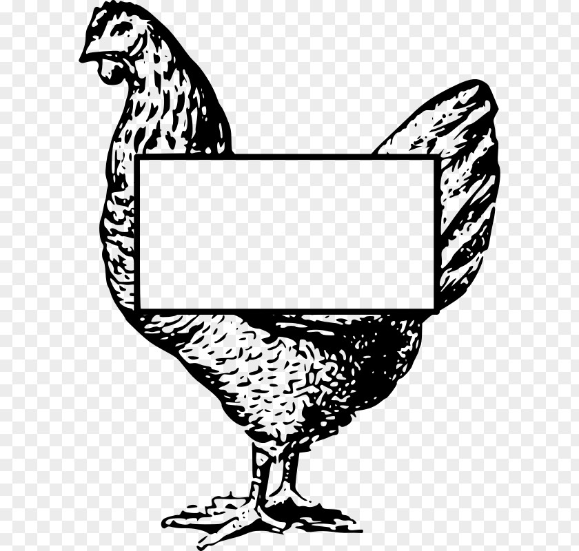 Chicken Rooster Galliformes Poultry Clip Art PNG
