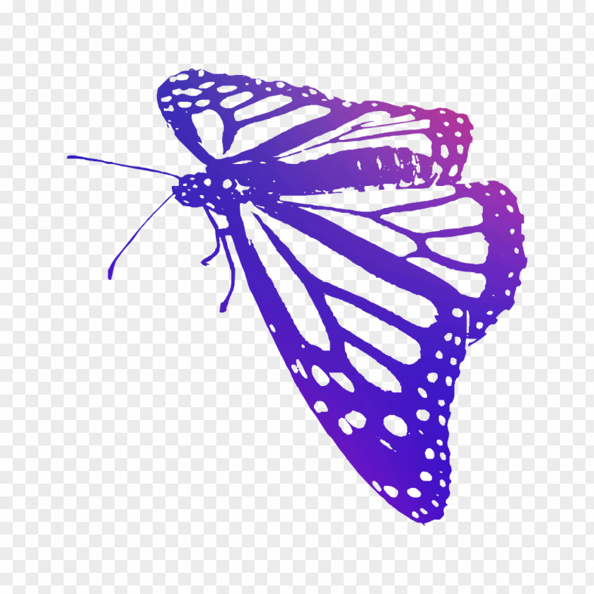 Monarch Butterfly Brush-footed Butterflies Moth Clip Art PNG