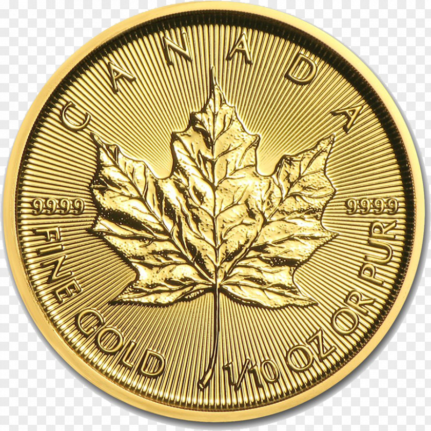 Canada Canadian Gold Maple Leaf Bullion Coin PNG