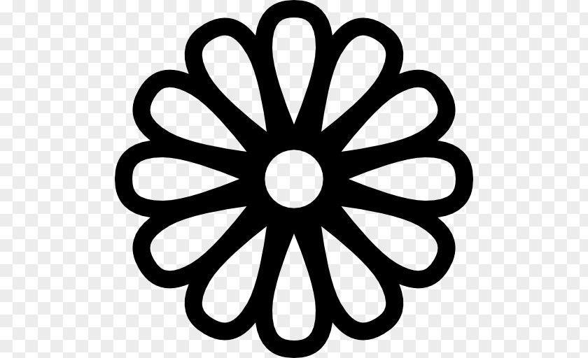 Flower Common Daisy PNG