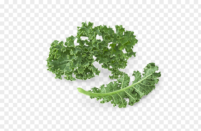 Kale Smoothie Juice Leaf Vegetable Food PNG