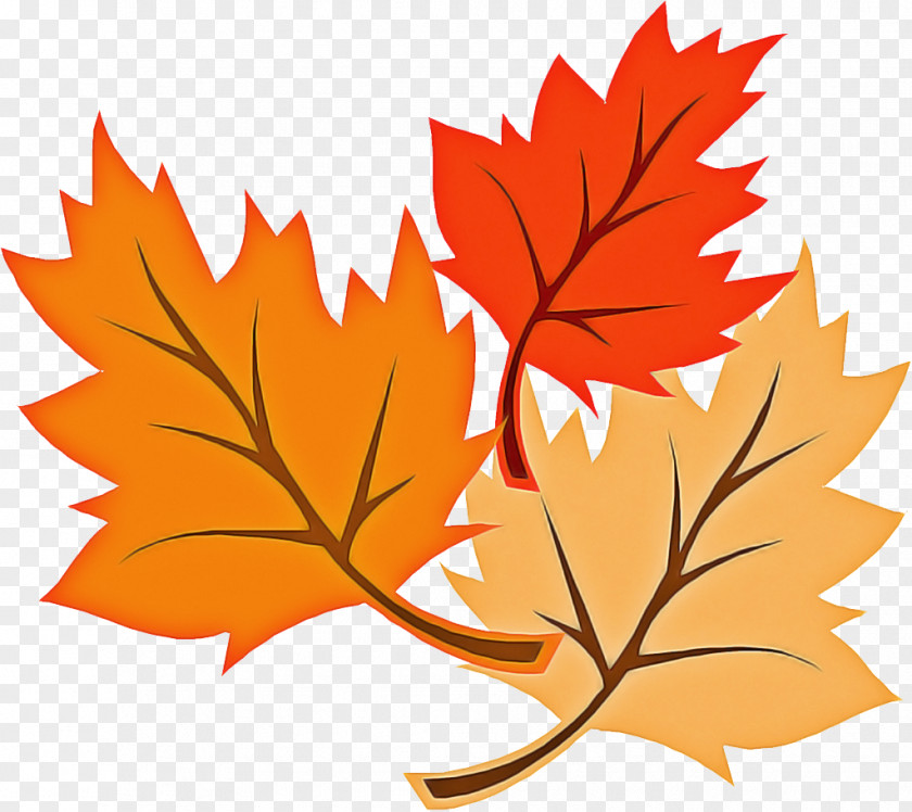 Planetree Family Twig Autumn Leaves Falling PNG