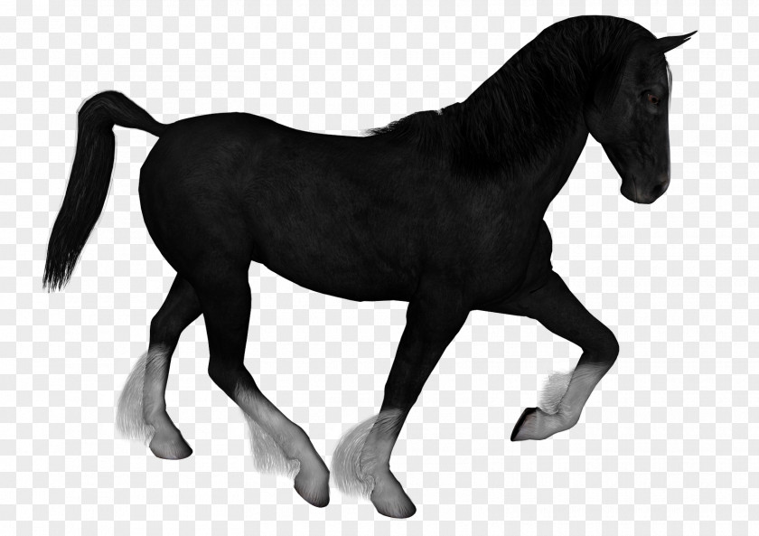 Dez Graphic Mustang Stallion Clip Art Image Foal PNG