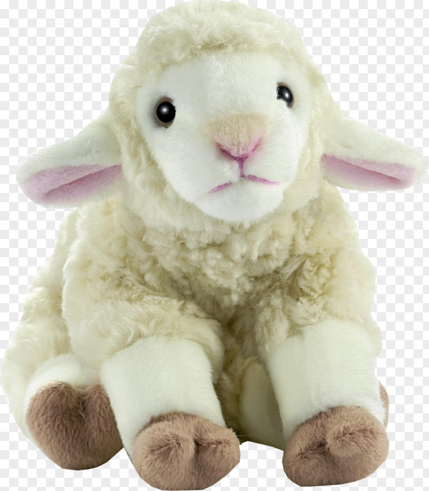 Doll Sheep Goat Plush Stuffed Animals & Cuddly Toys PNG