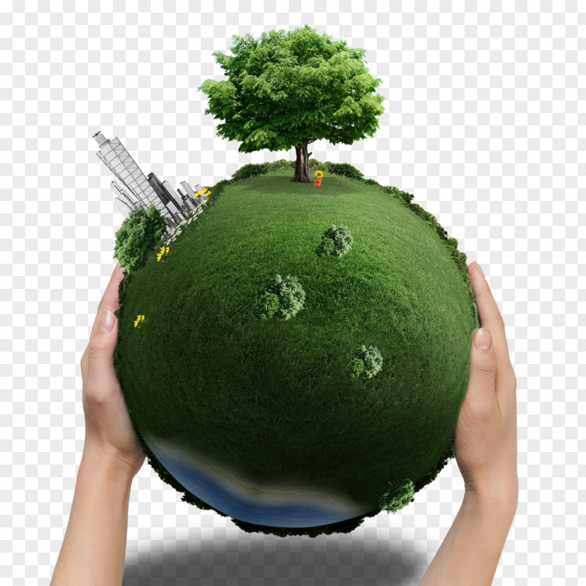 Green Earth Greening Environment Vegetation Natural PNG