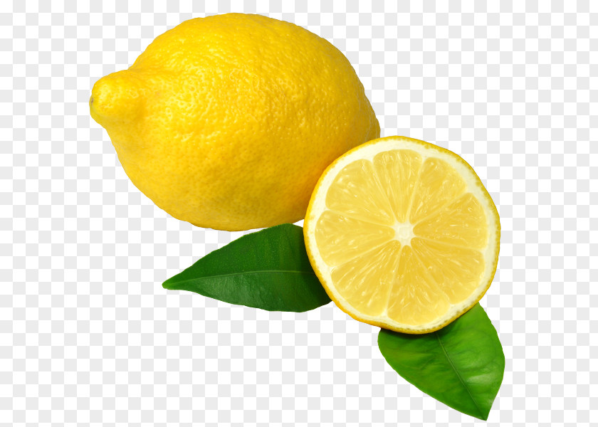 Lemon Key Lime Persian Citron Rangpur PNG
