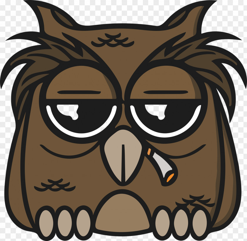 Owls T-shirt Hoodie Unisex Spreadshirt Jumper PNG