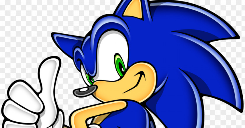 Sonic Pi Advance 3 The Hedgehog 2 Battle PNG