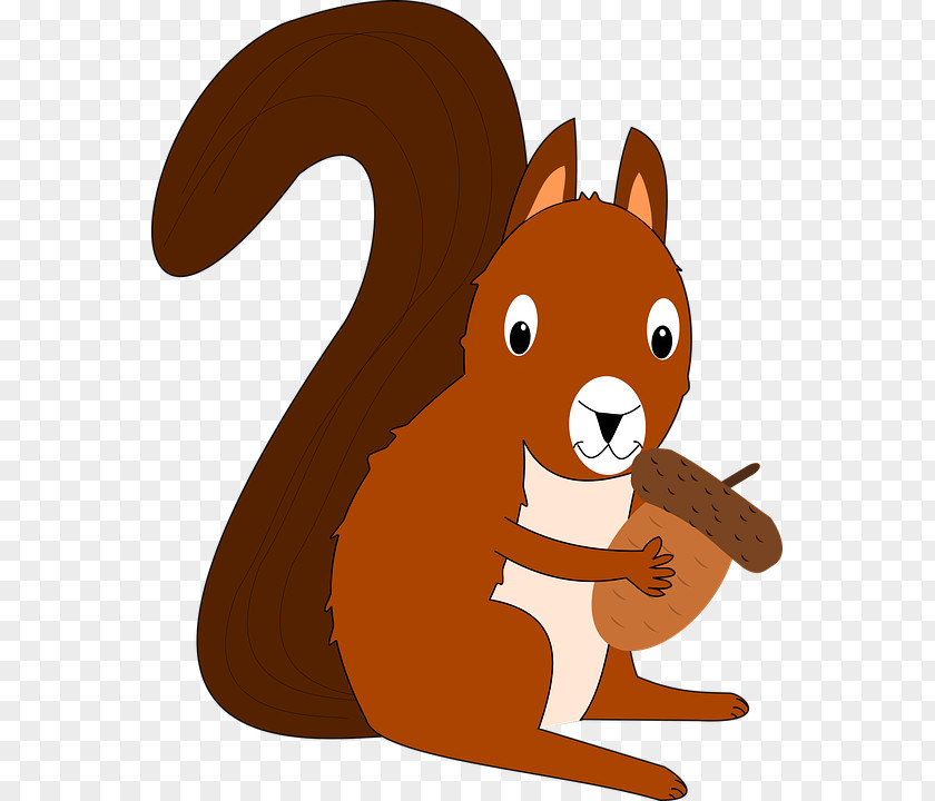 Squirrel Clip Art Image Vector Graphics PNG
