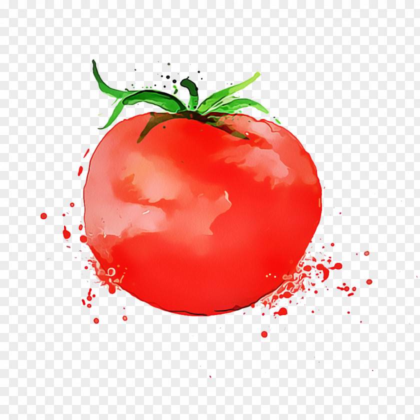 Vegan Nutrition Vegetarian Food Tomato Cartoon PNG