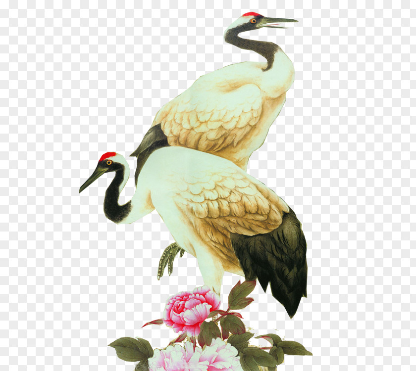 Crane White Stork Red-crowned Bird Grey Crowned PNG