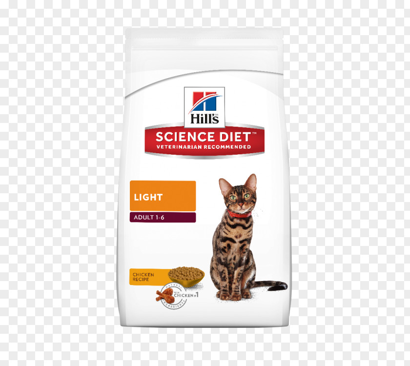 Dog Cat Food Kitten Puppy PNG