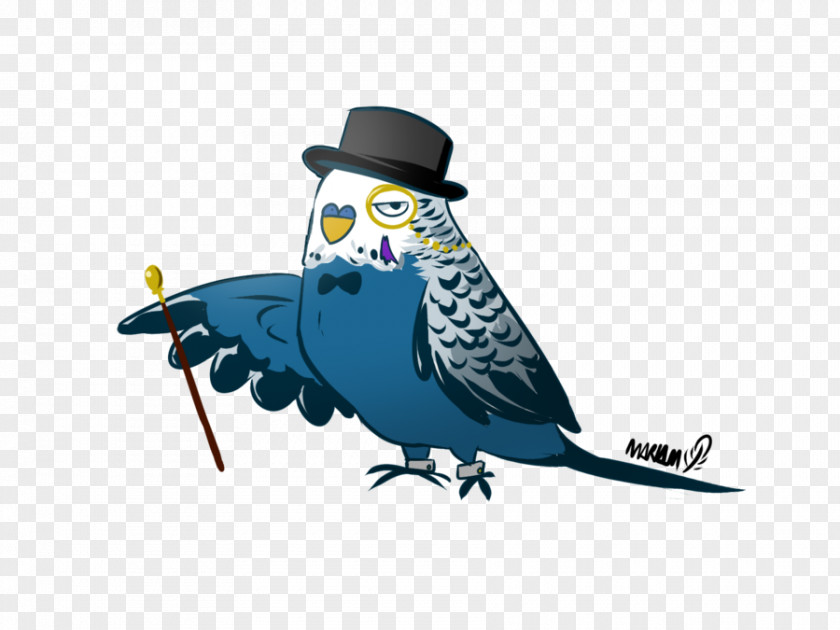 Lazy Attitude Beak Illustration Blue Jay Feather Bluebirds PNG