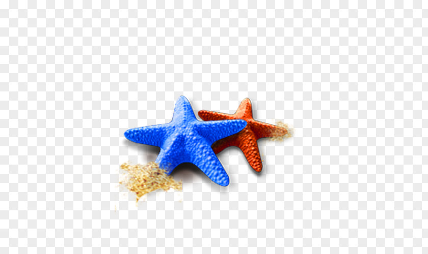 Starfish Icon PNG
