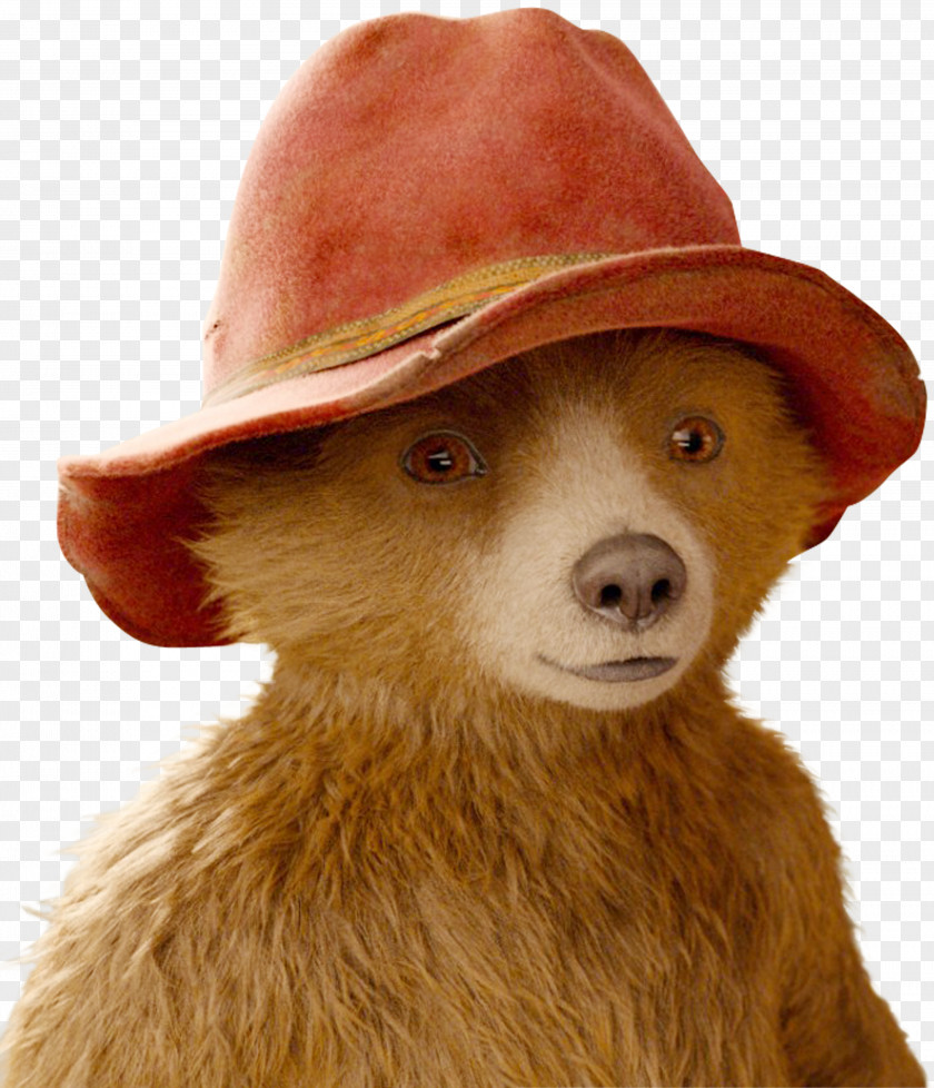 Youtube Paddington Bear YouTube Film Superhero Movie Television PNG