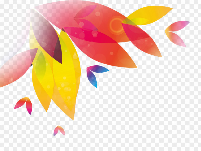 Abstract Color Leaves Petal Leaf Graphic Design PNG
