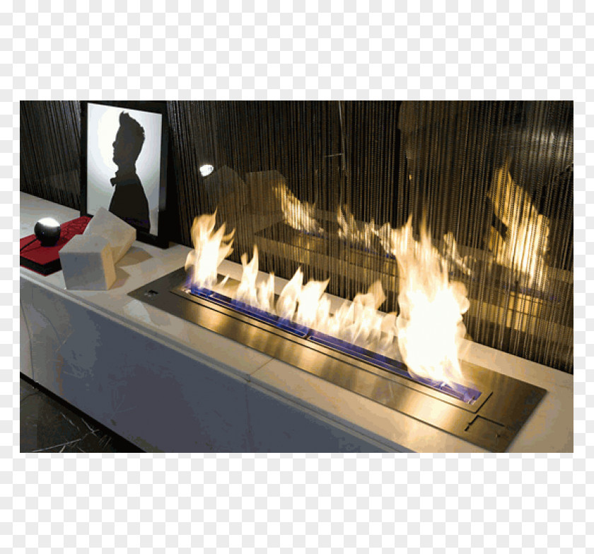 Fire Bio Fireplace Ethanol Fuel Pit PNG