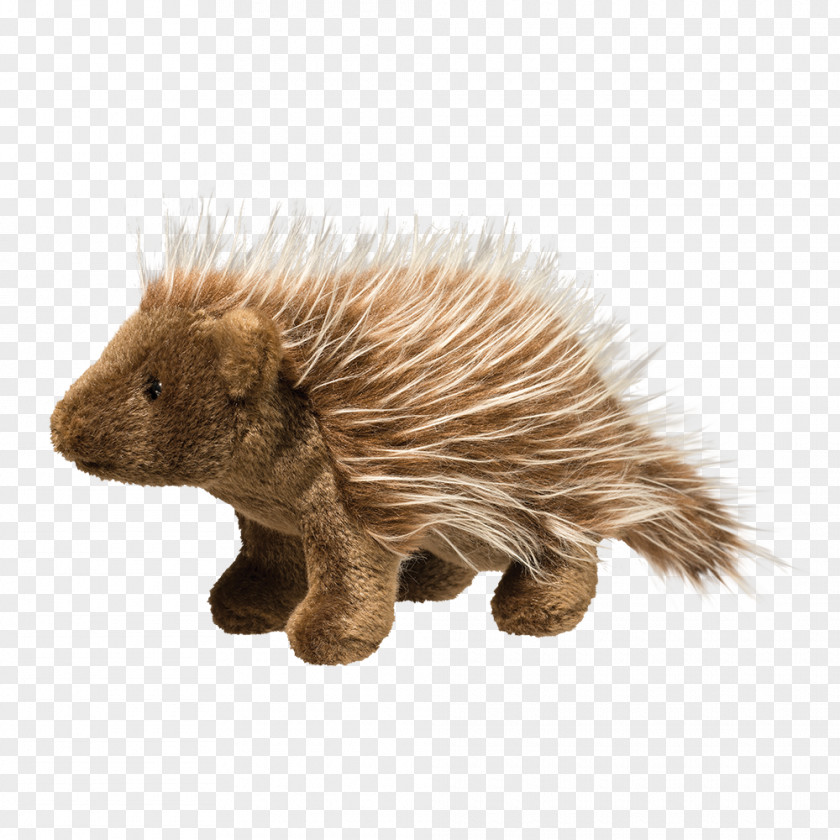 Hedgehog Porcupine Beaver Echidna Fur PNG