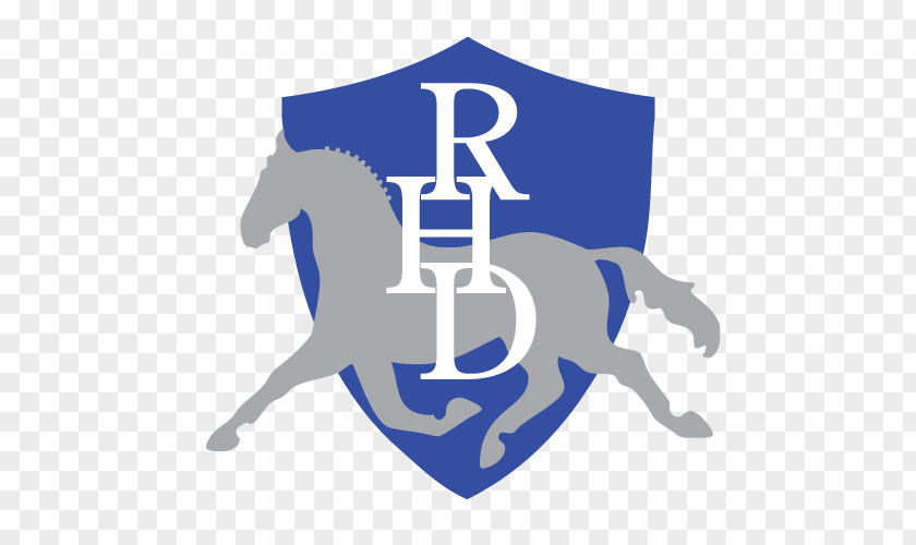 Horse Horseback Red Hill Dressage Boneo Park Equestrian Centre Pty Ltd Shands Road PNG