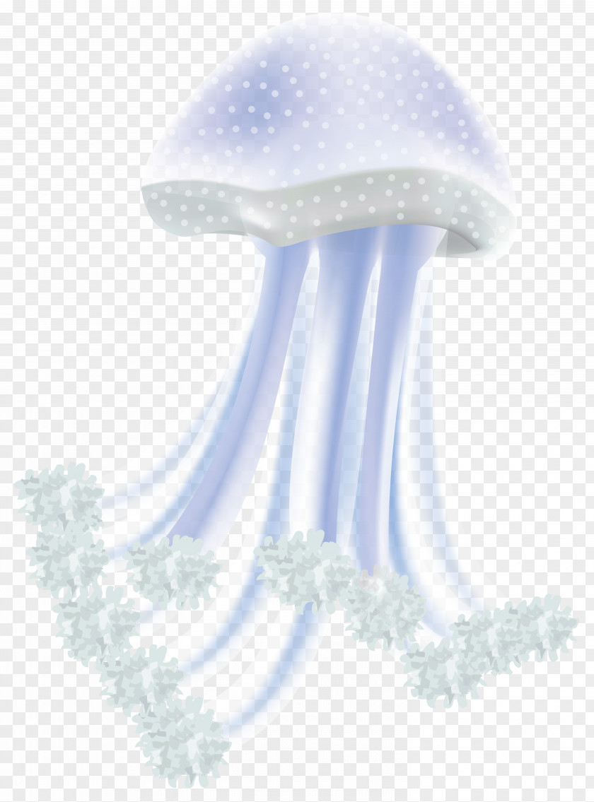 Jellyfish Transparent Clip Art Image Transparency And Translucency PNG