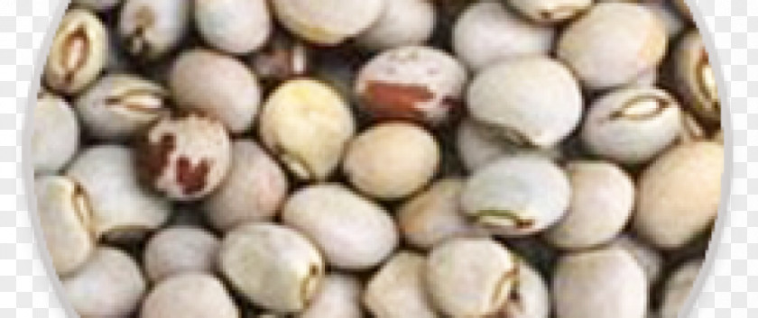 Pigeon Pea Soybean Pistachio Seed PNG
