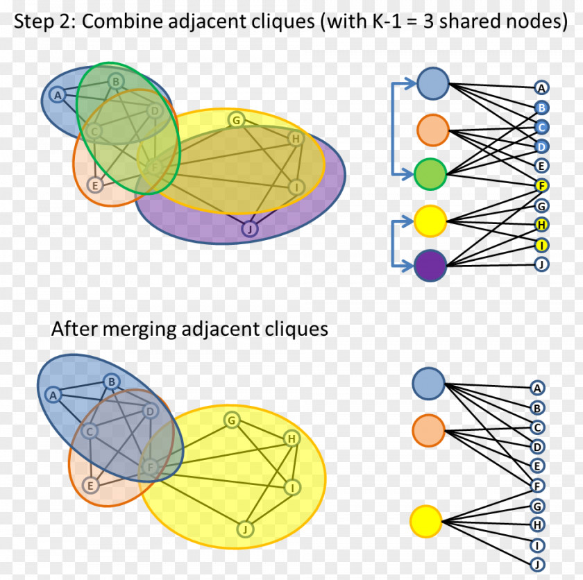 Social Graph Leaf Line Point PNG