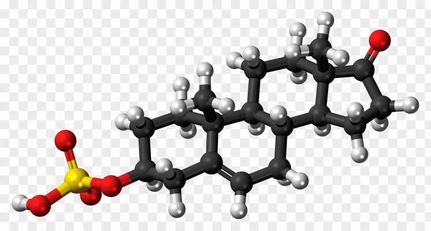 Adrenal Insufficiency Testosterone Undecanoate Anabolic Steroid Cholesterol Molecule PNG