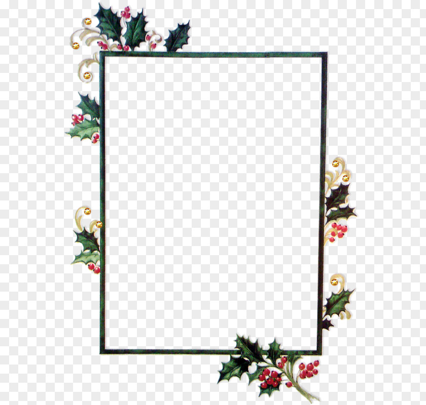 Fishing Rod Picture Frames Photography Inspector Pok Floral Design Text PNG