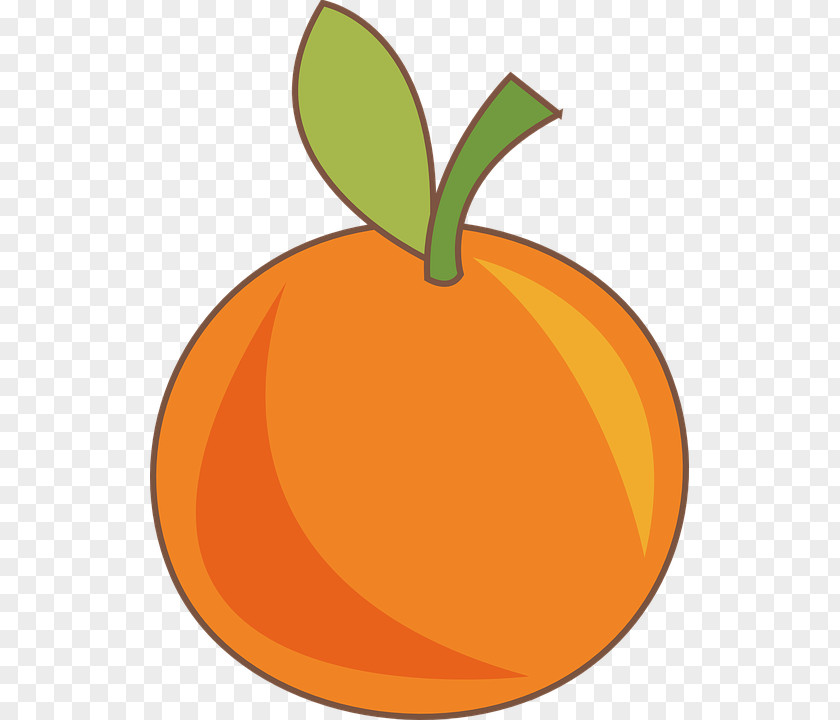 Orange Fruit S.A. Food Drawing PNG