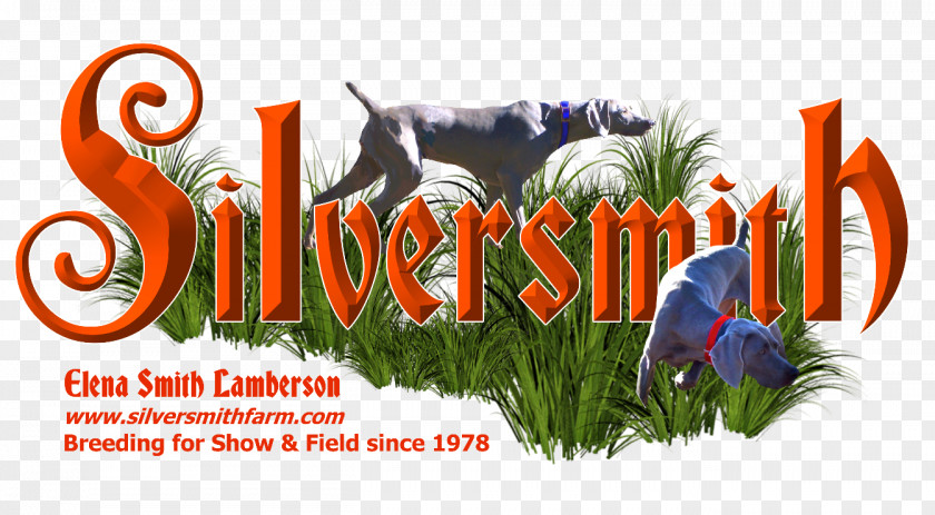 Puppy Weimaraner Logo Silversmith Farm Boarding LLC Charleston Dog Training Club PNG