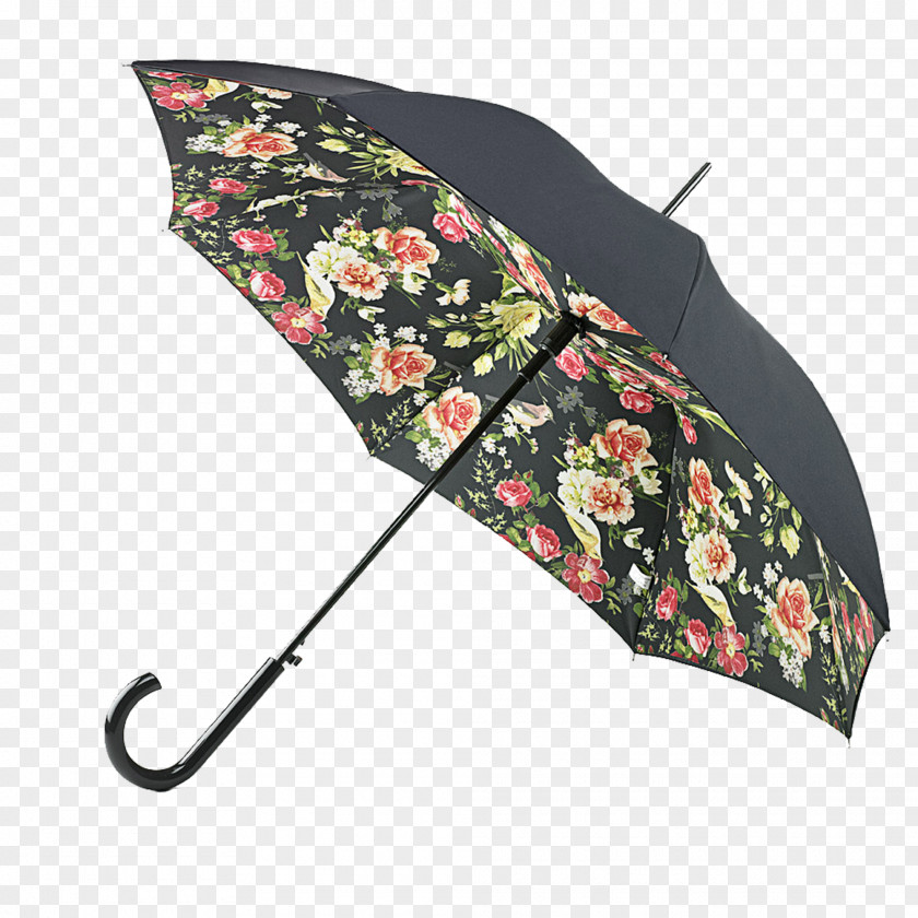 Umbrella Rain Flower 雨具 Pink PNG