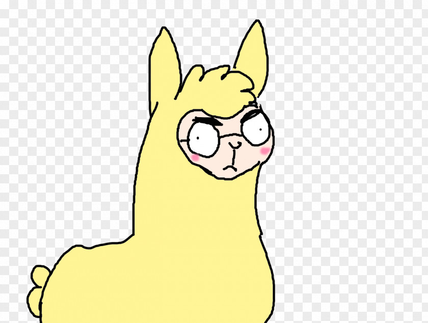 Alpaca Cat Whiskers Kitten Mammal Carnivora PNG