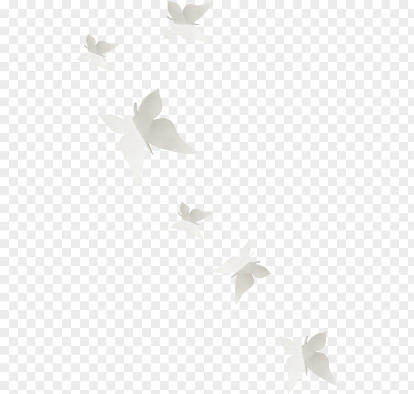 Butterfly White February PNG