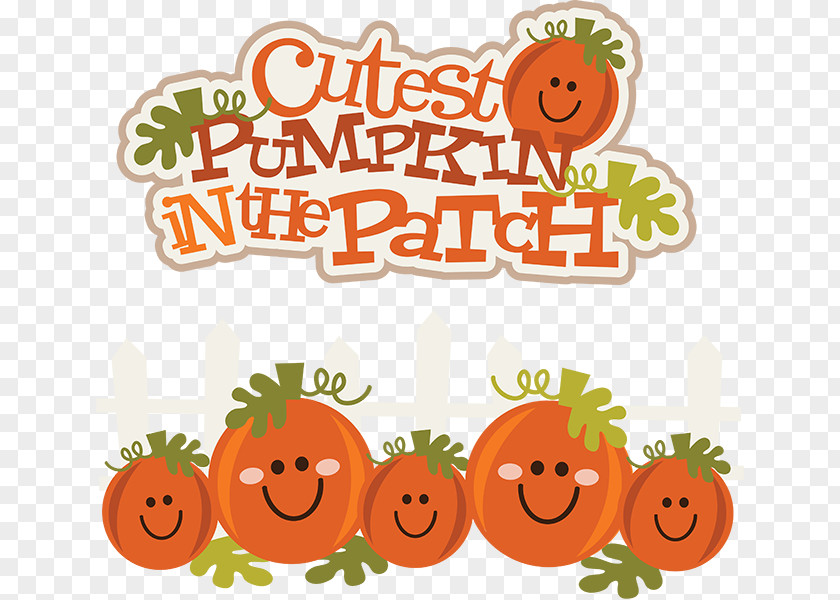Cute Pumpkin Transparent Cuteness Jack-o-lantern Halloween Clip Art PNG