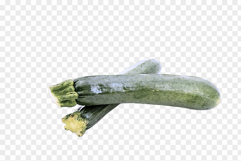 Food Luffa Vegetable Plant Zucchini PNG