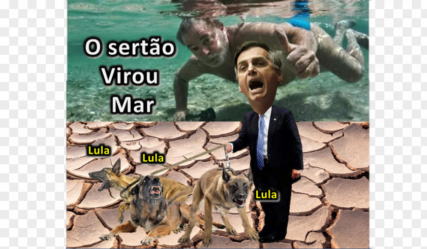 Juiz Fernando De Noronha Poster Snout PNG