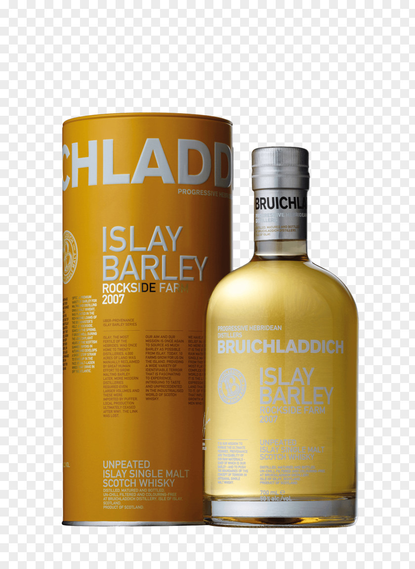 Barley Single Malt Whisky Scotch Whiskey Islay PNG