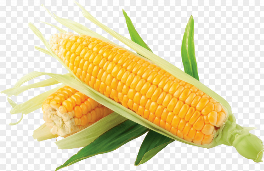 Corn Image Maize On The Cob Clip Art PNG