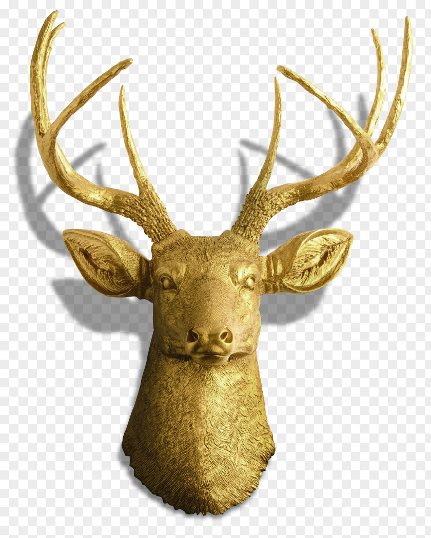 Deer Elk Antler Reindeer Moose PNG