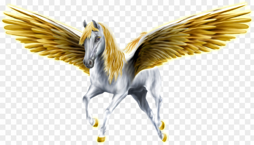Pegasus Medusa Horse Perseus Greek Mythology PNG