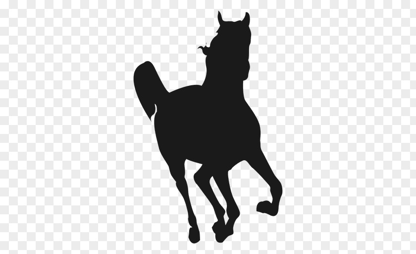 Running Horse Canter And Gallop Silhouette PNG