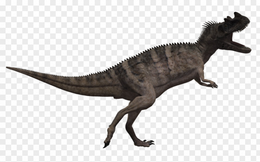 Animals Dinosaur Ceratosaurus Tyrannosaurus Triceratops Carnotaurus Allosaurus PNG