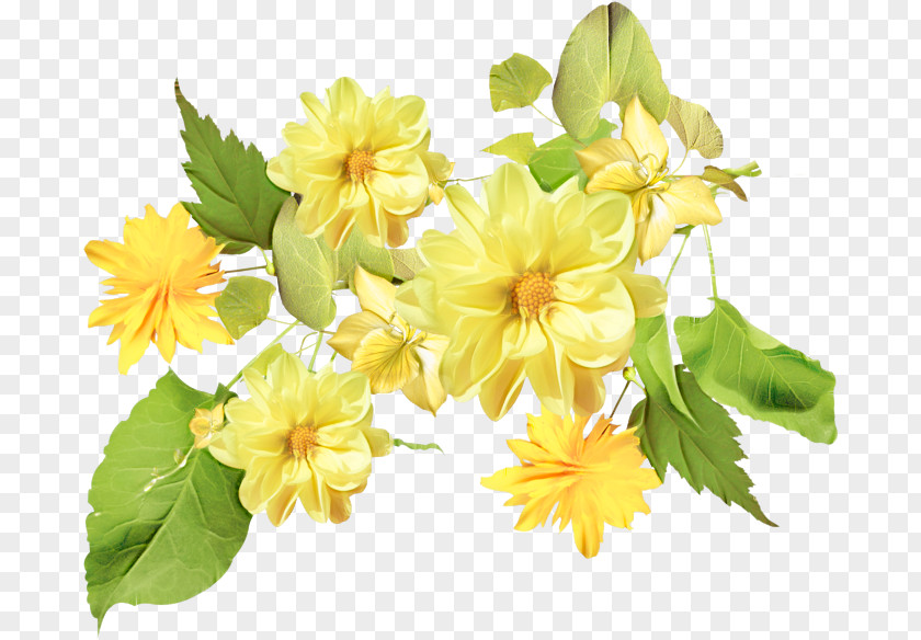 Perennial Plant Artificial Flower PNG