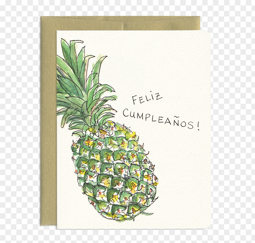 Pineapple Funny Greeting & Note Cards Birthday Wish PNG