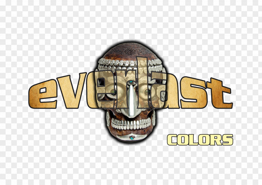 Everlast Boxing Logo Font PNG