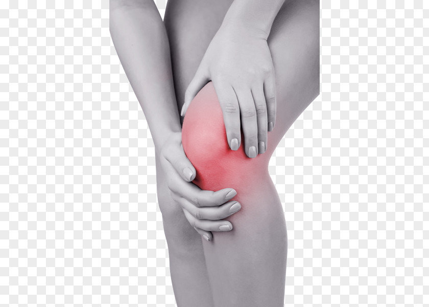 Knee Pain Back Therapy Joint PNG