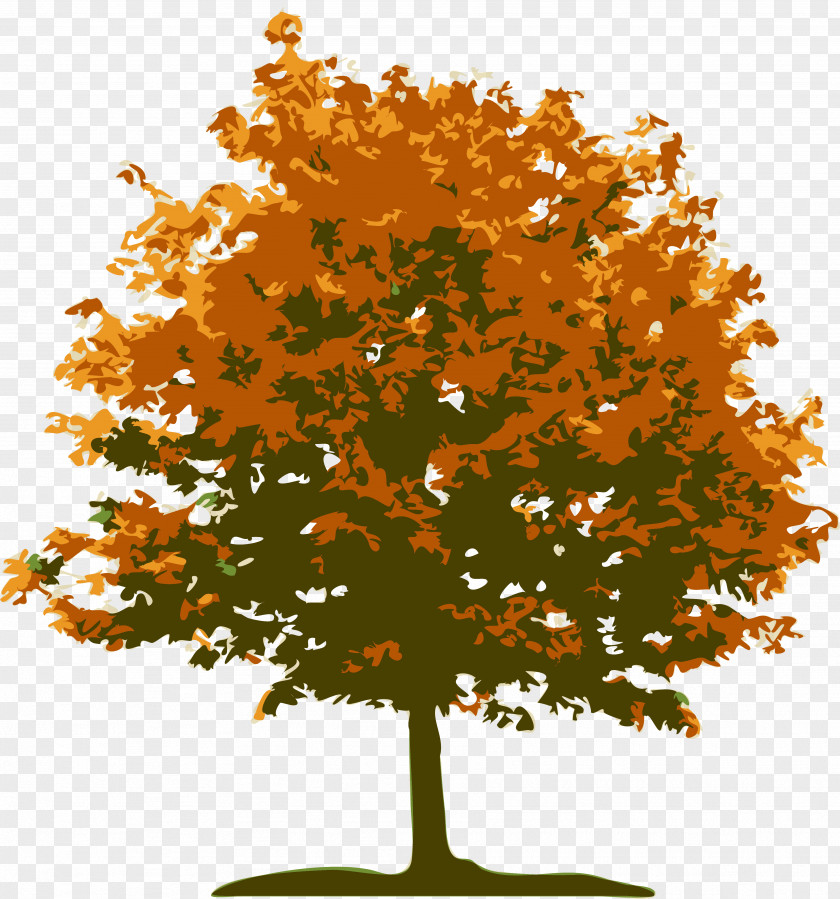 Tree Landscape Lawn Red Maple PNG
