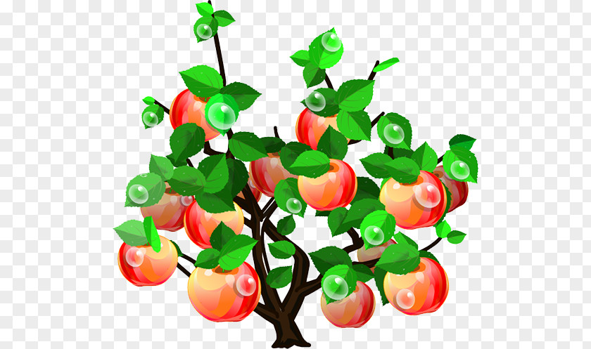 Apple Tree Clip Art PNG