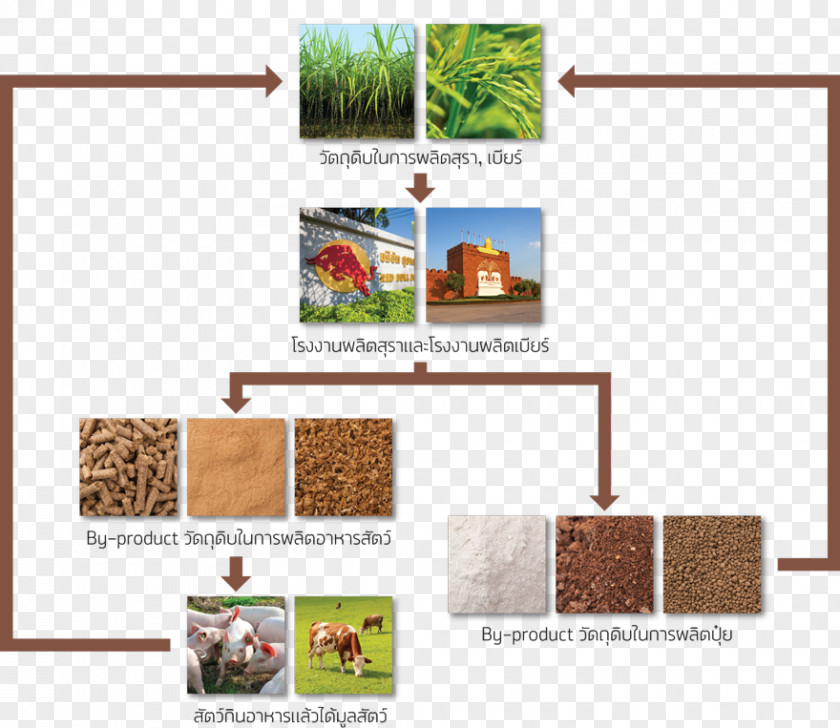 Beer ThaiBev Wastewater Natural Environment Resource PNG