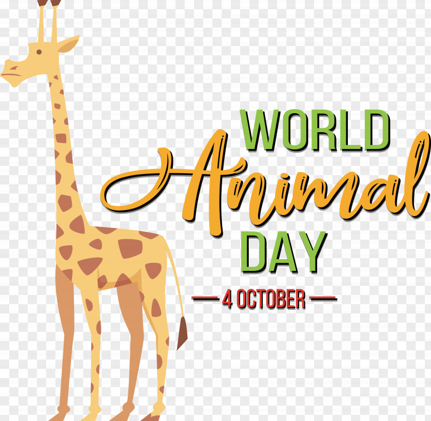 Giraffe Cartoon Text Pattern Giraffids PNG